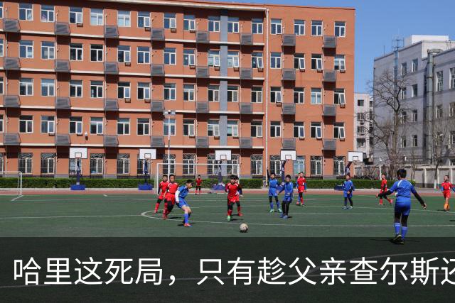 哈里这死局，只有趁父亲查尔斯还在位，赶紧和梅根离婚才能破了