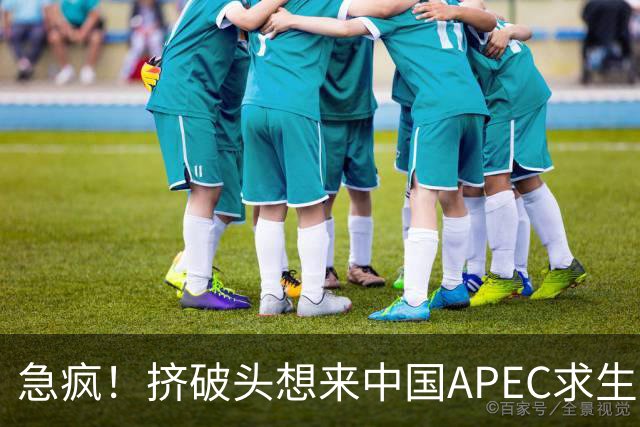 急疯！挤破头想来中国APEC求生，因国内清算打响，高市或锒铛入狱