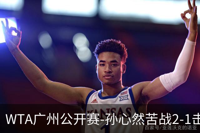WTA广州公开赛-孙心然苦战2-1击败7号种子 首进巡回赛八强